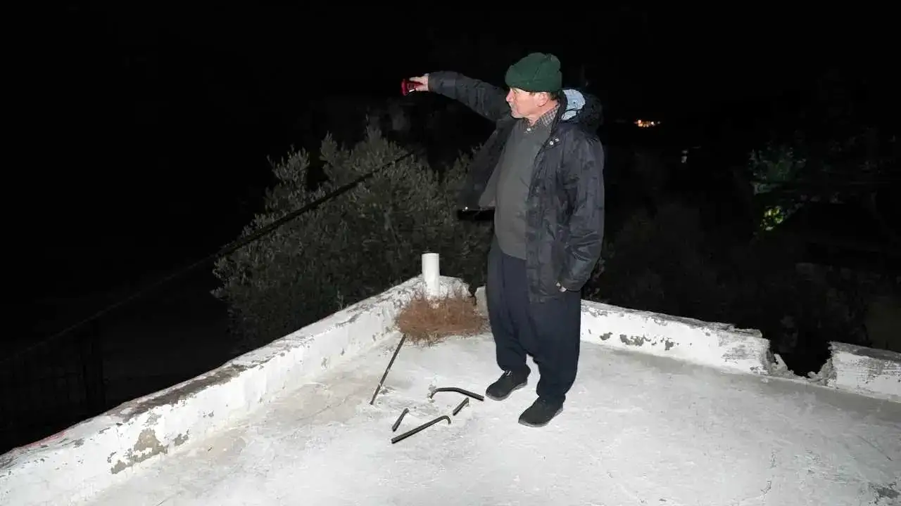 Mersin’de Şiddetli Fırtına Asırlık Ağacı Kökünden Söktü! 4